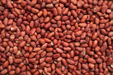 legume, Ingredient háttérképek