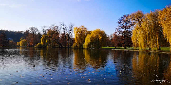 Autumn day