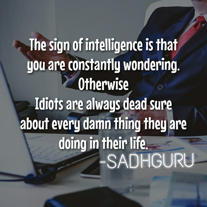 ★STAY CURIOUS★