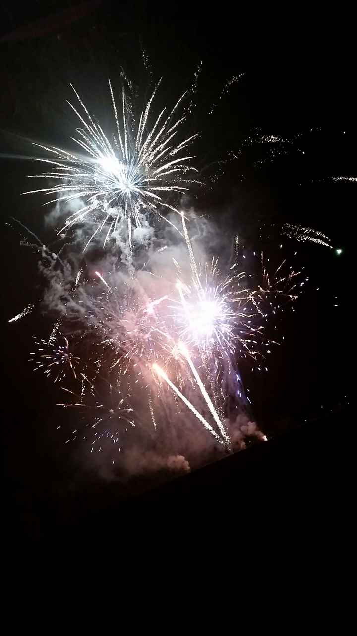 Firework in the Italy