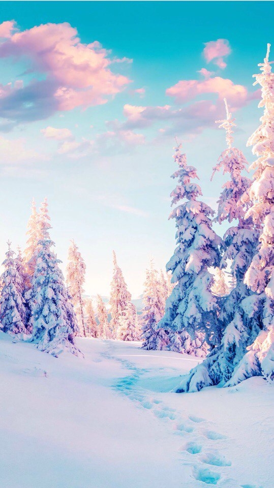 winter