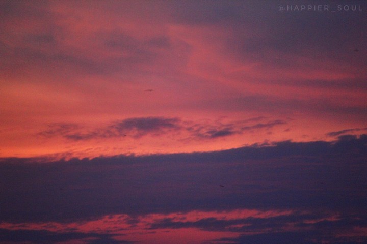 nature's canvas