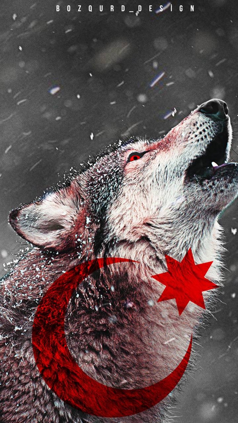 Wolf