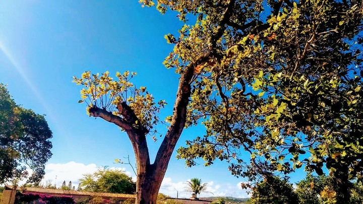 Acredite Na Vida... Valorize Tudo Que Já Tem De Bom e Belo