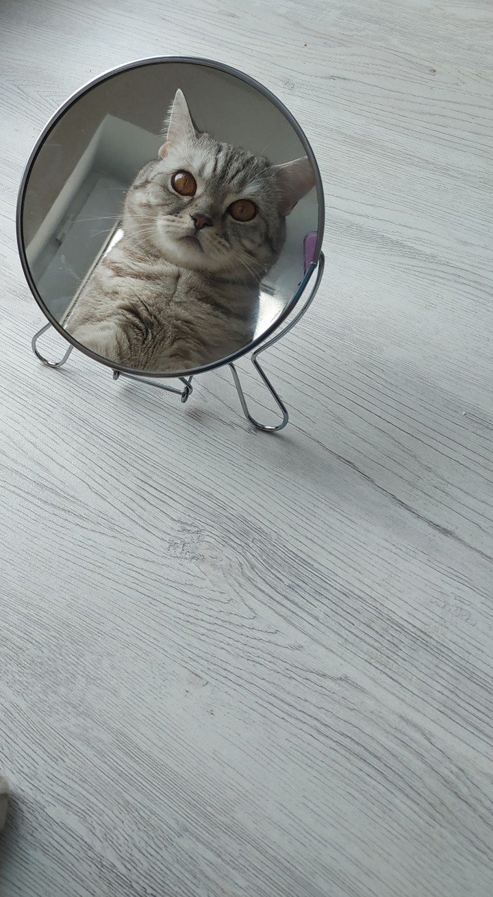 Джемик