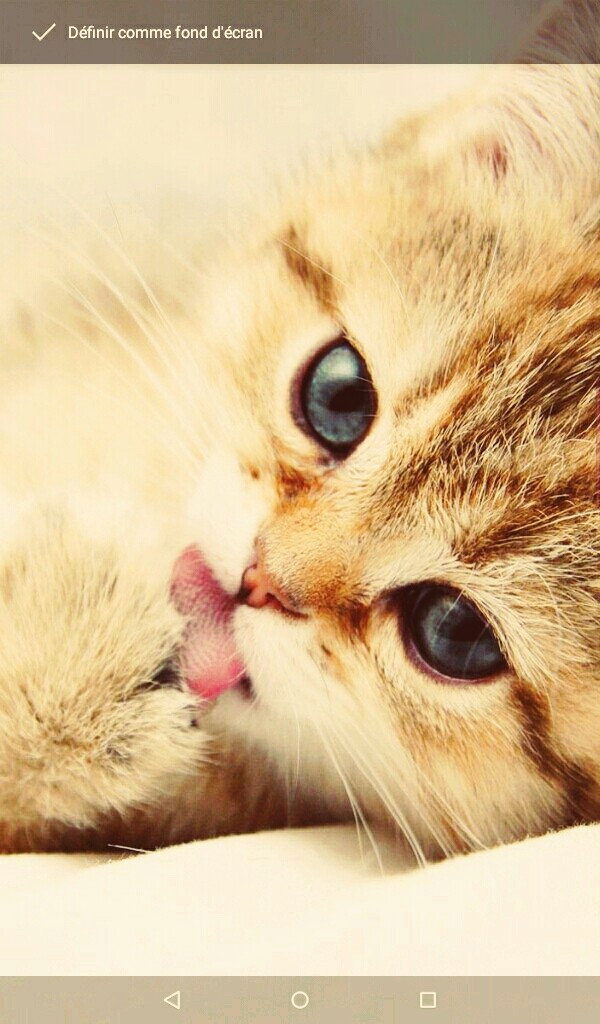 trop mignon