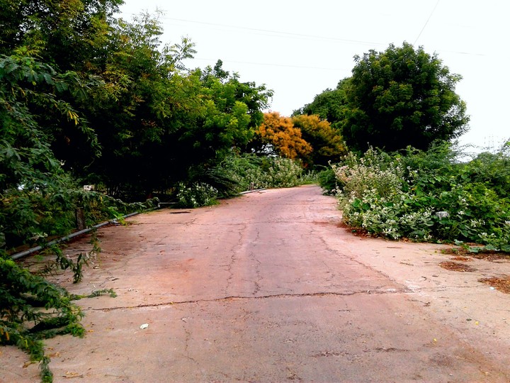 nature
