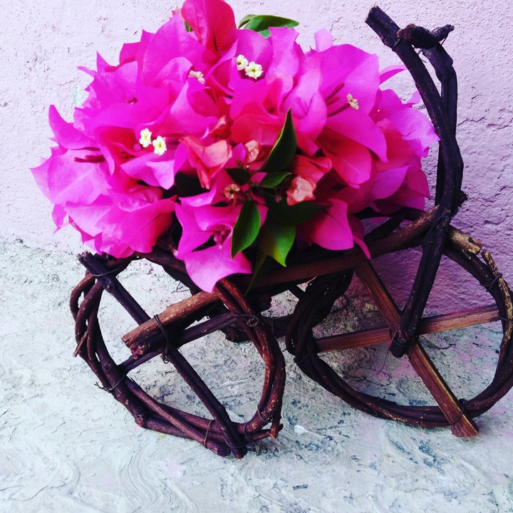 #flores #hermosa