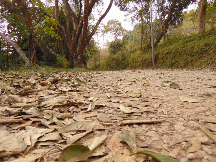 parque ecológico