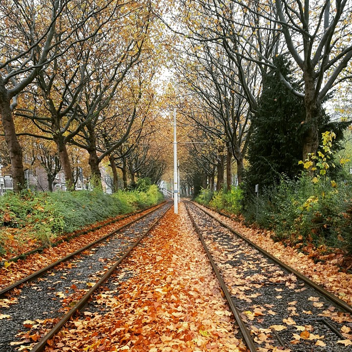 Road Not Travelled!