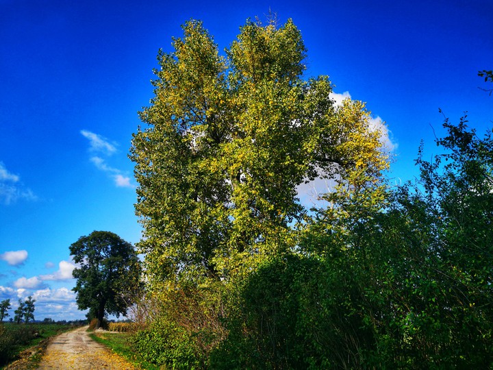 jesień