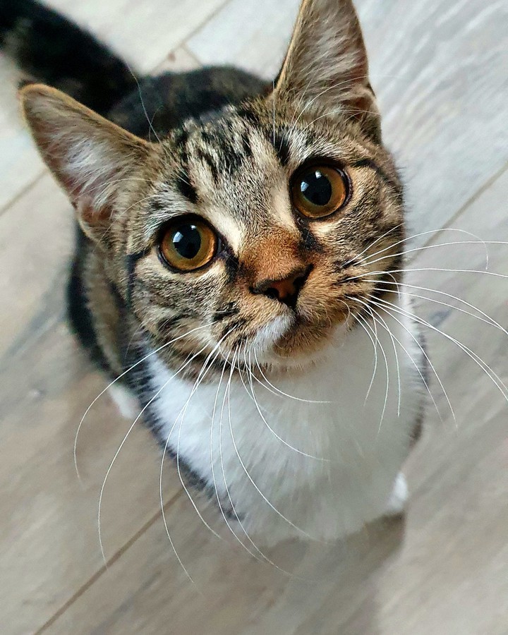 Sweet little soul