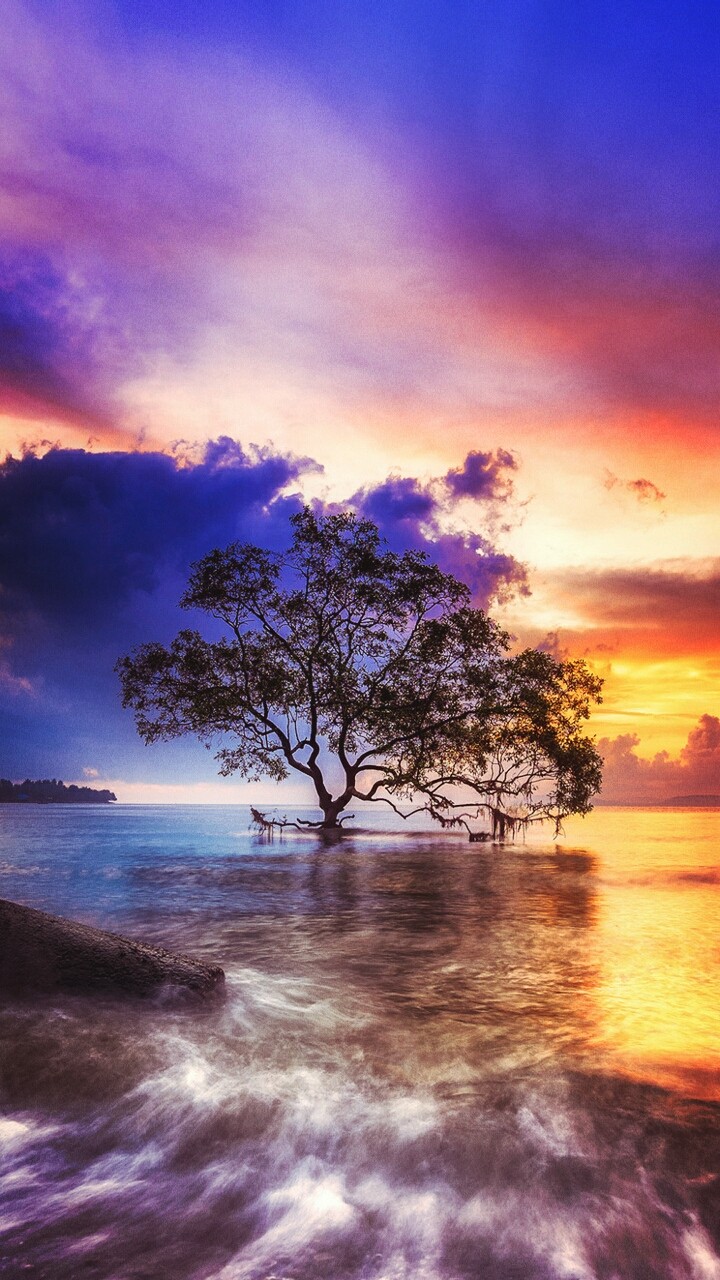 Nature combination