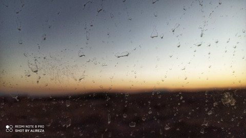 after the rain