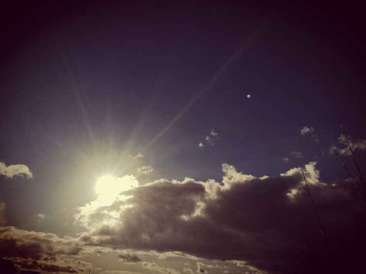 sunlight