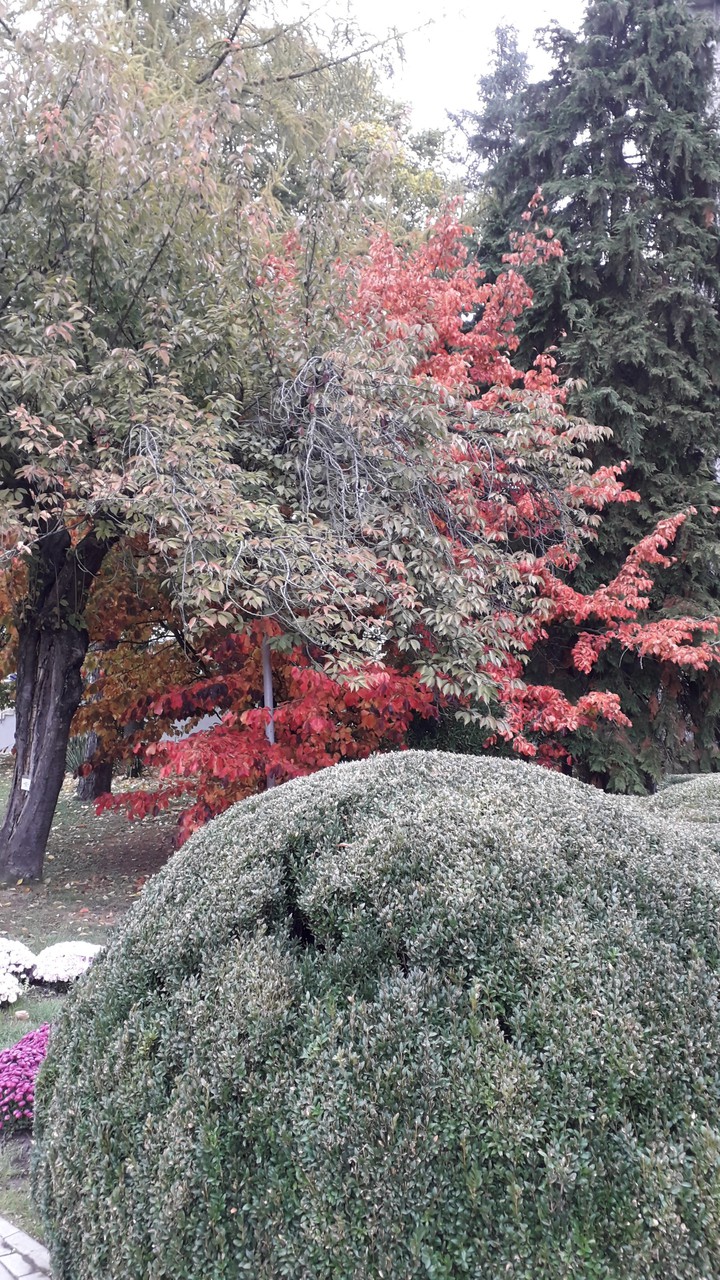Autumn
