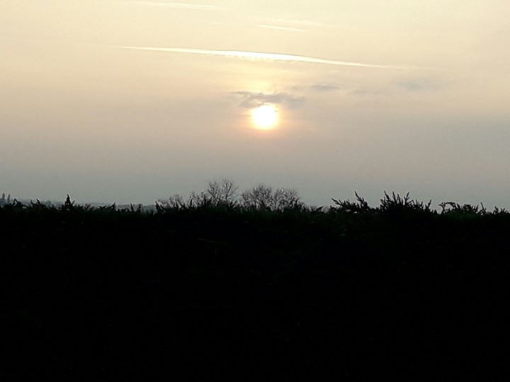 sun