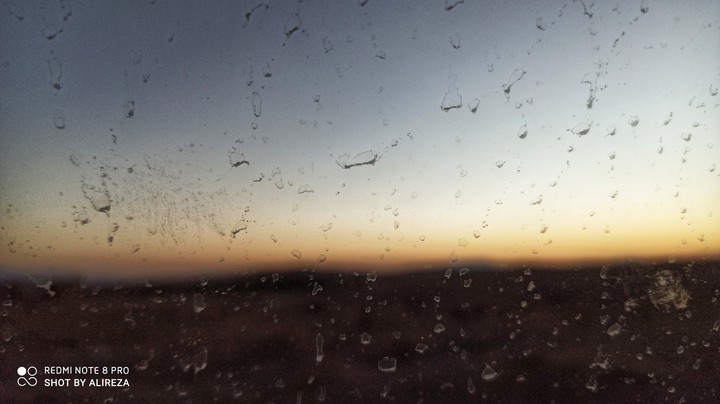 after the rain