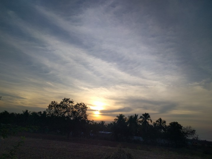 sunset