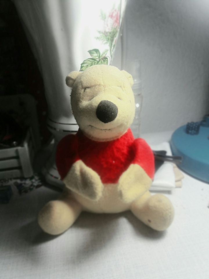 Teddy Bear