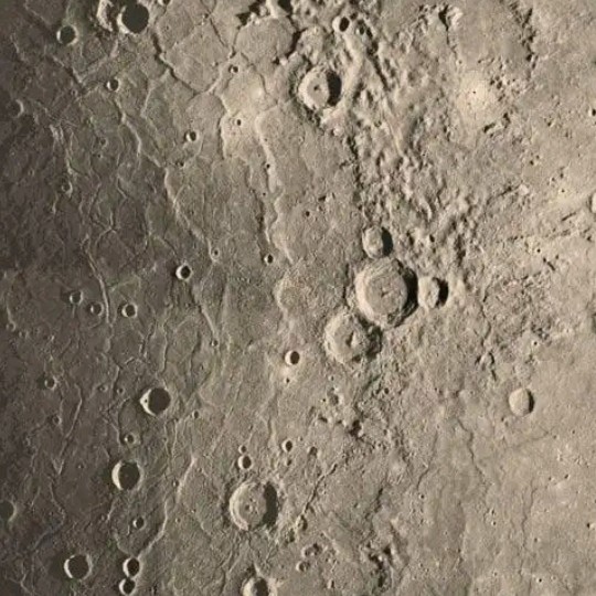 moon face
