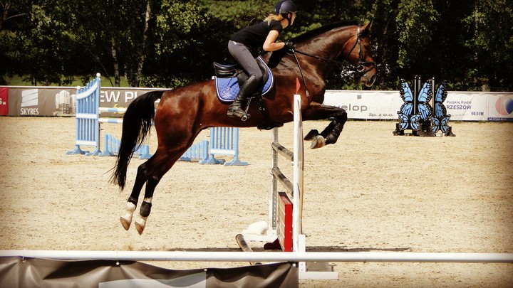 Jumping horse