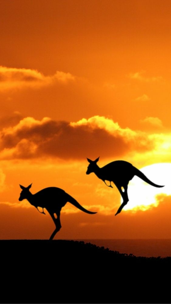kangz!!
