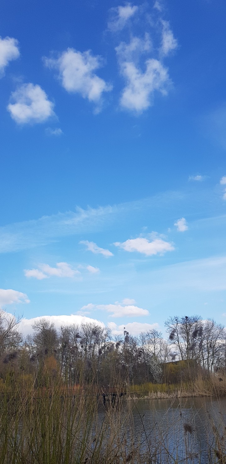 ciel bleu