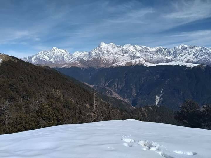 love this nature
