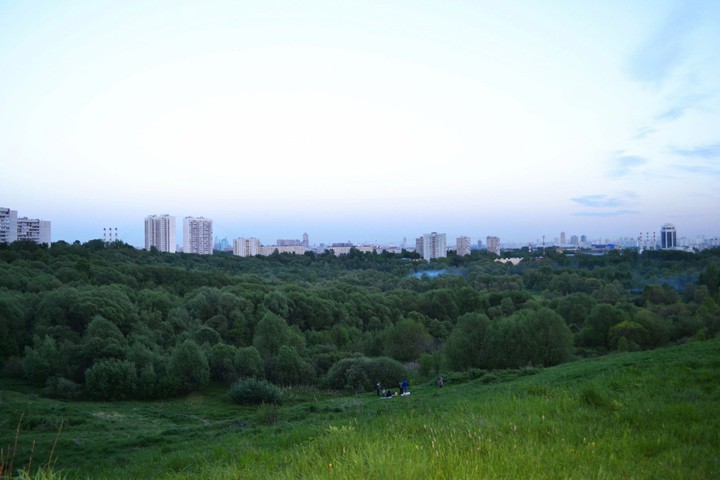 Shodnenskaya bowl