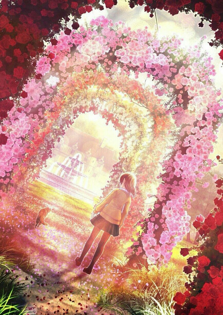 Anime ~ art