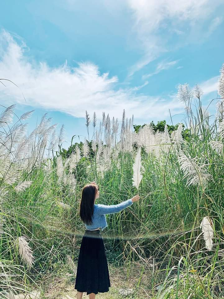 Foxtail
