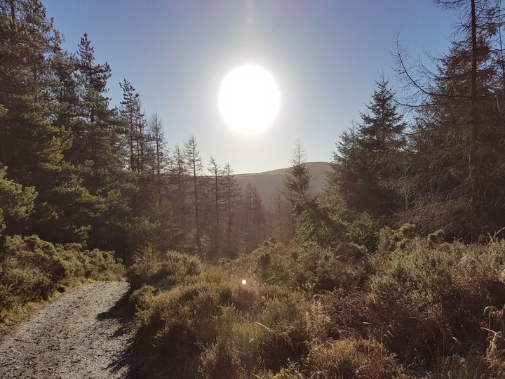 Wales Sun.
