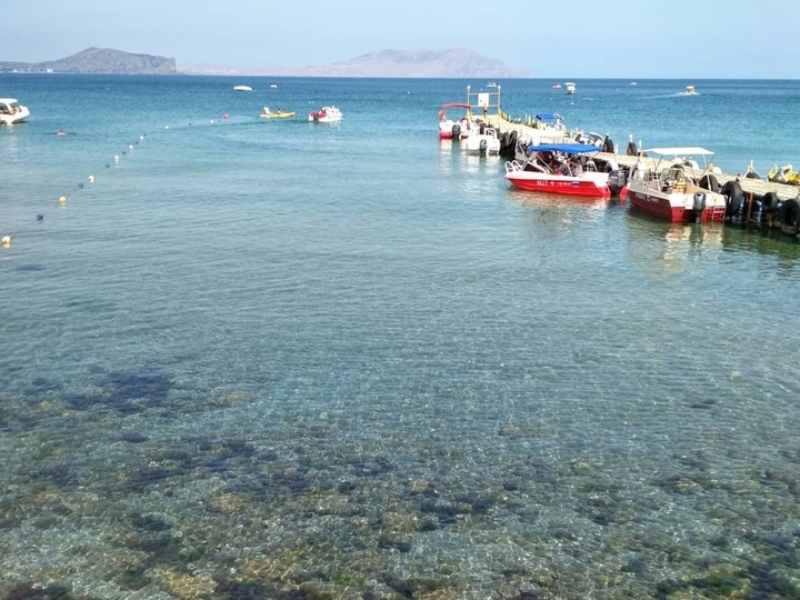 bay
