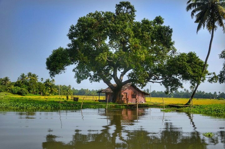 nature