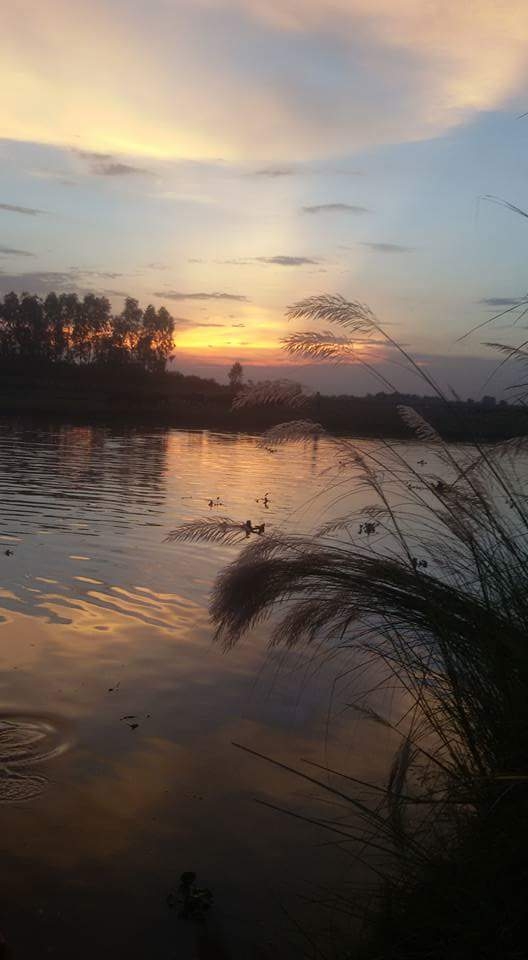 sun set