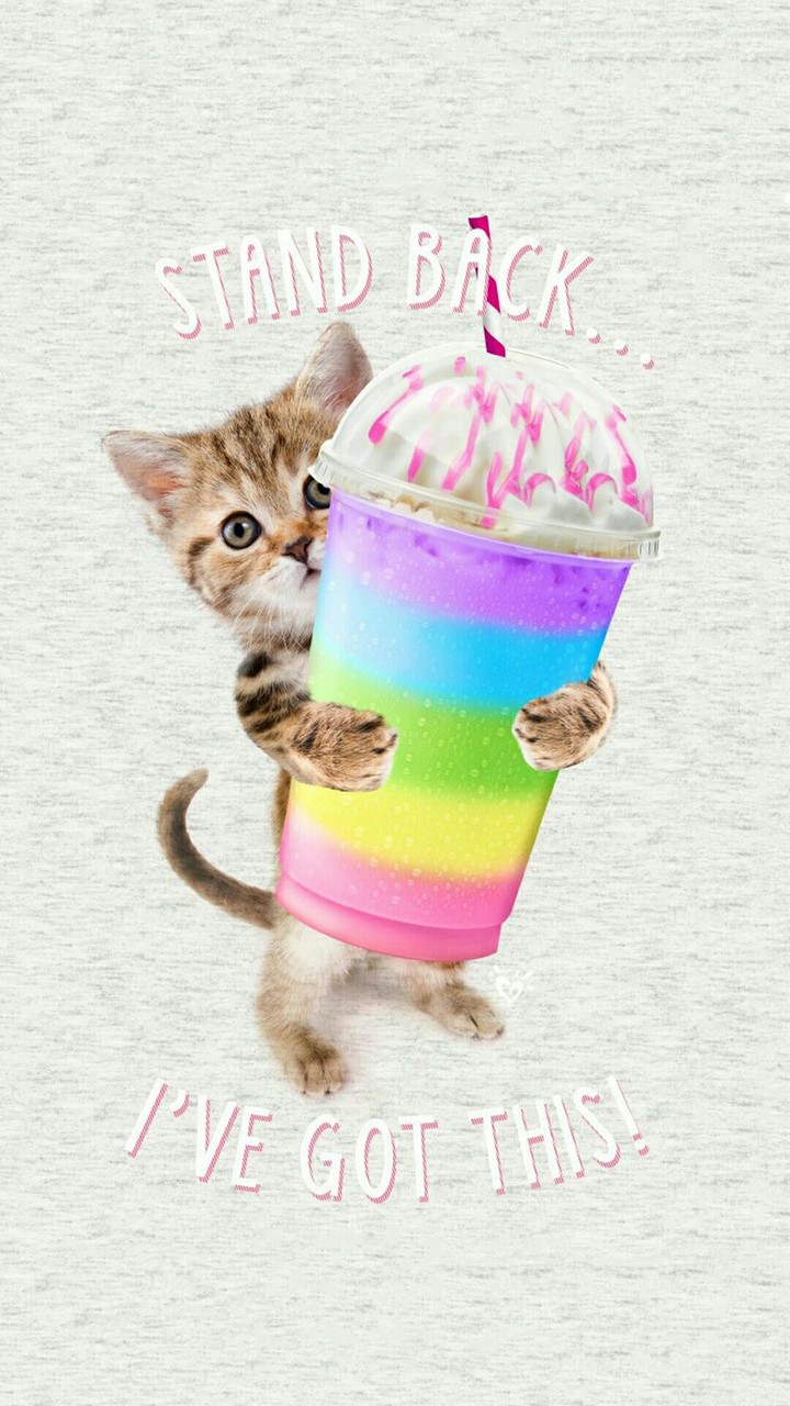 Kitty