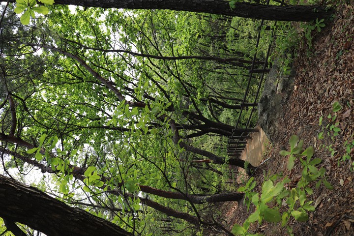 산책