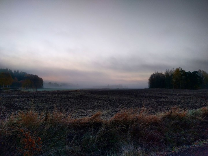 Fog on a early morning