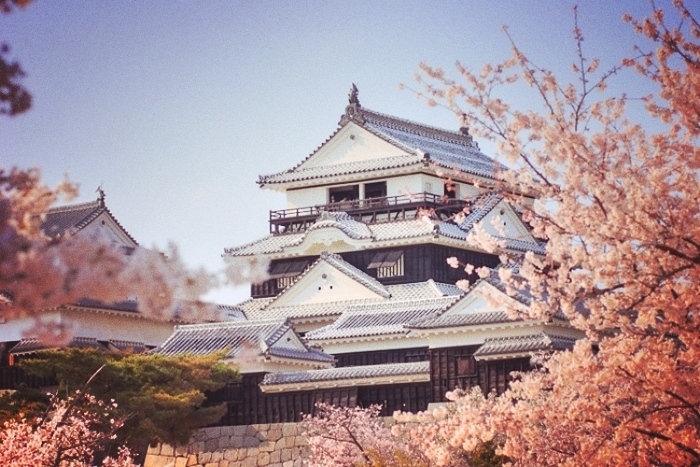 Matsuyama Castle Favorite Castle