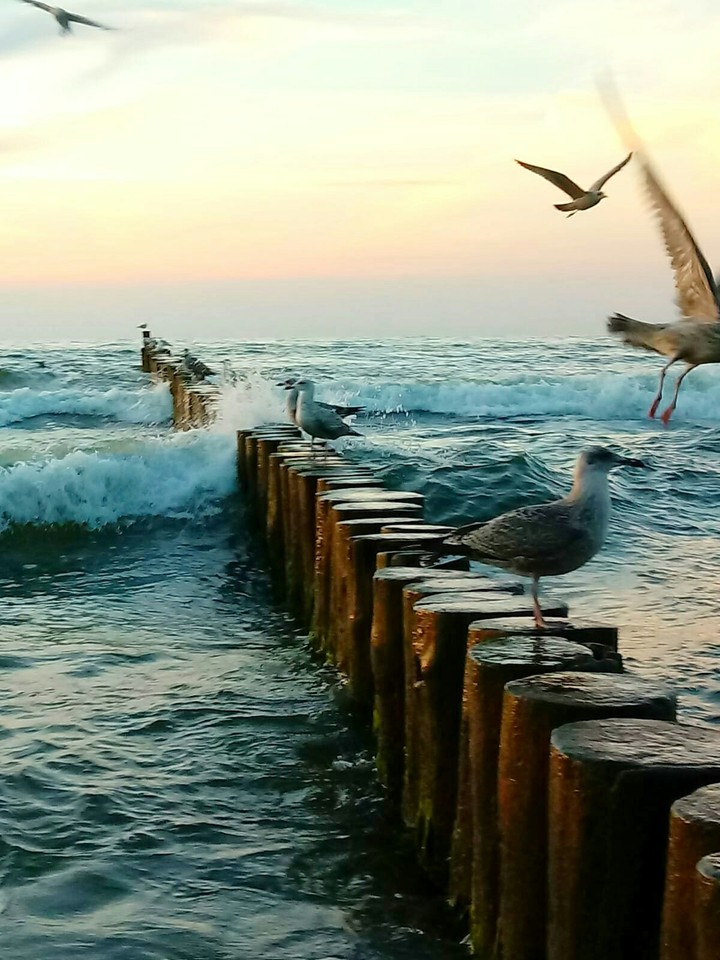 sea