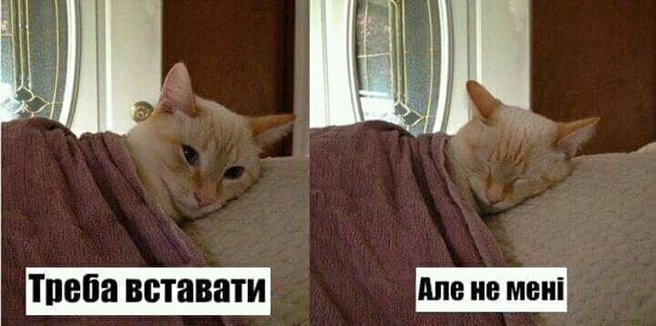 Треба вставати, але не йому