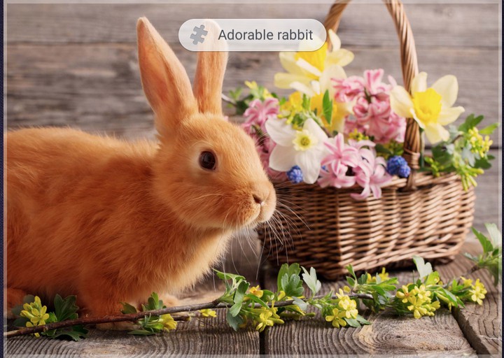 EASTER RABBIT