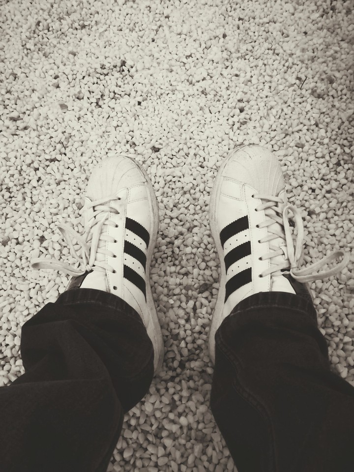 Adidas superstar