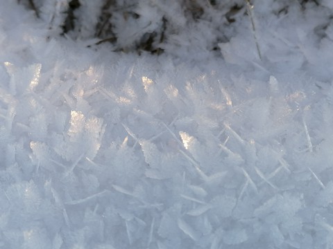 flake