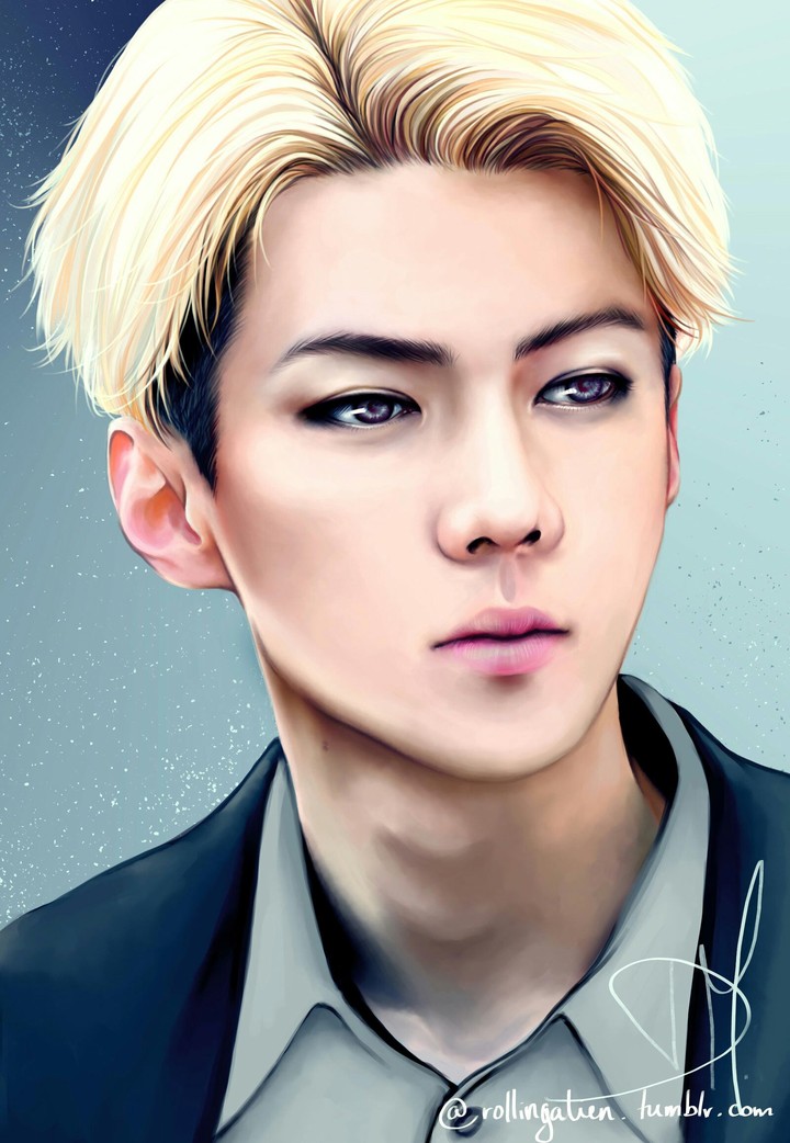 EXO wallpapers