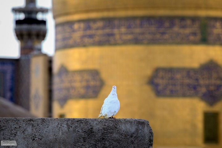 مذهبی