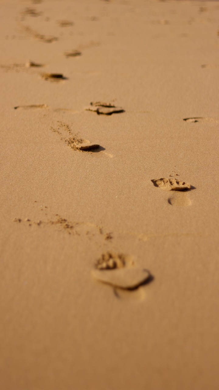 Footsteps