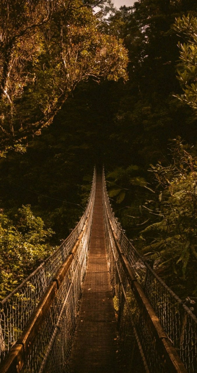 *