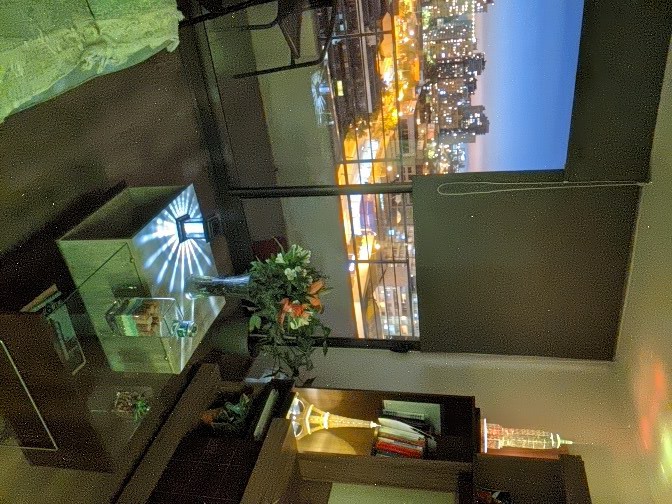 mi living y mi vista